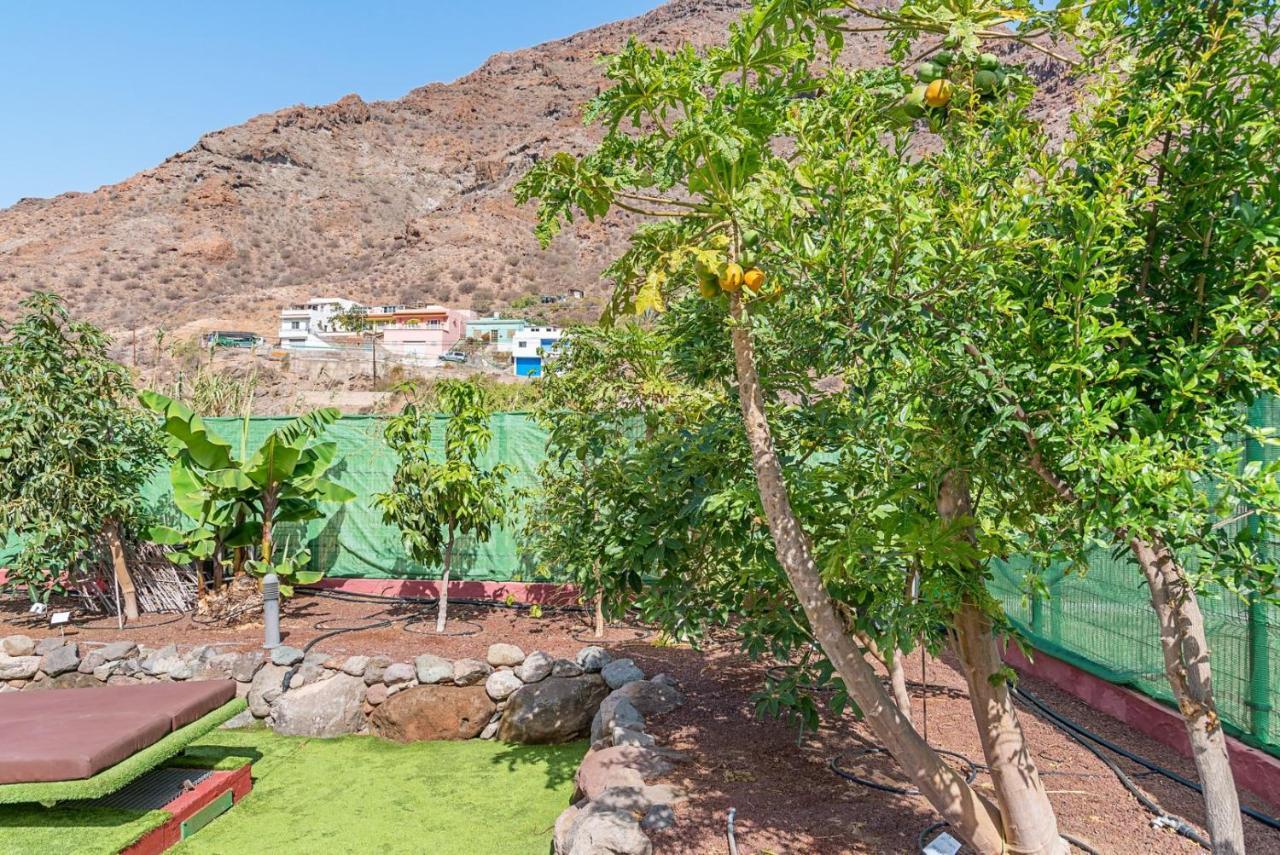 Sol Mogan Suites - Adults Only Puerto De Mogan Luaran gambar